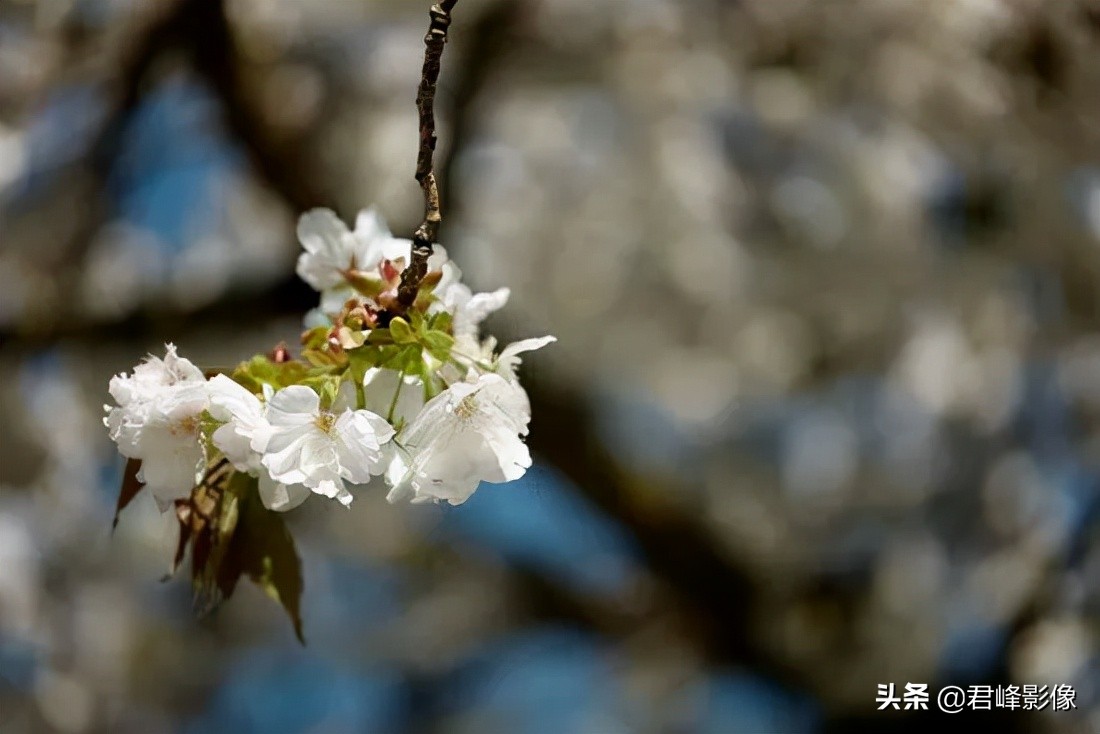 那些被忽略的美,那些被忽略的风景