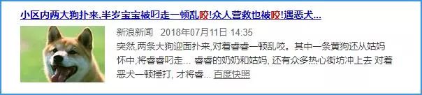 与狗狗玩耍时不小心被狗狗刮伤,养狗不拴绳一家三口遭恶犬咬伤