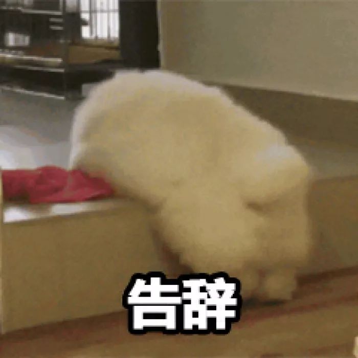 工装不是谁都能驾驭得了的,工装才是最好的单品