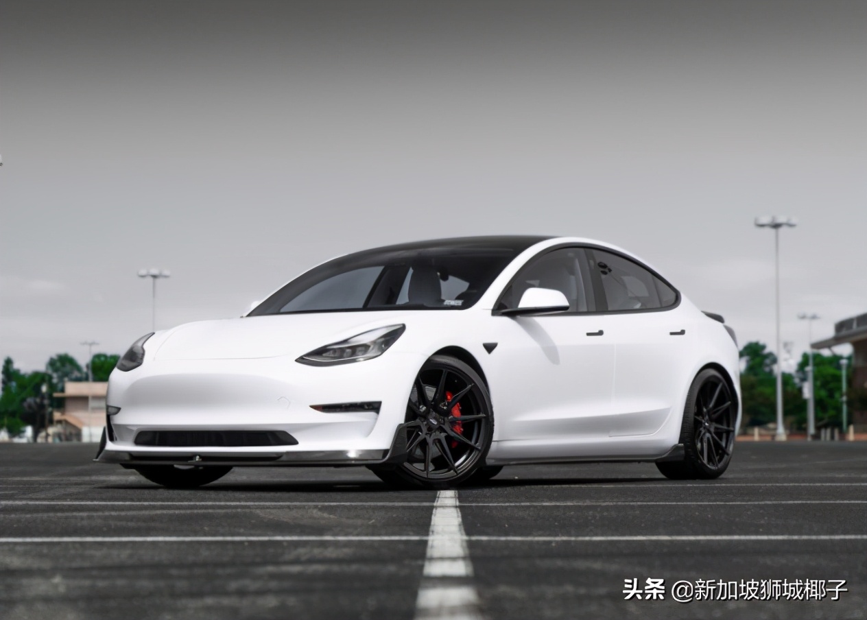 全世界最贵的特斯拉，花了100万！深扒为什么新加坡买车这么贵