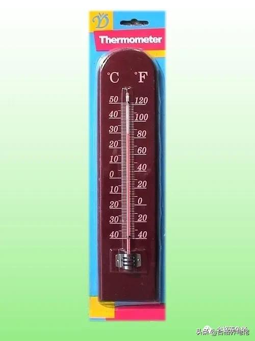 欧泽龟可以加温养吗,加温养龟都需要什么