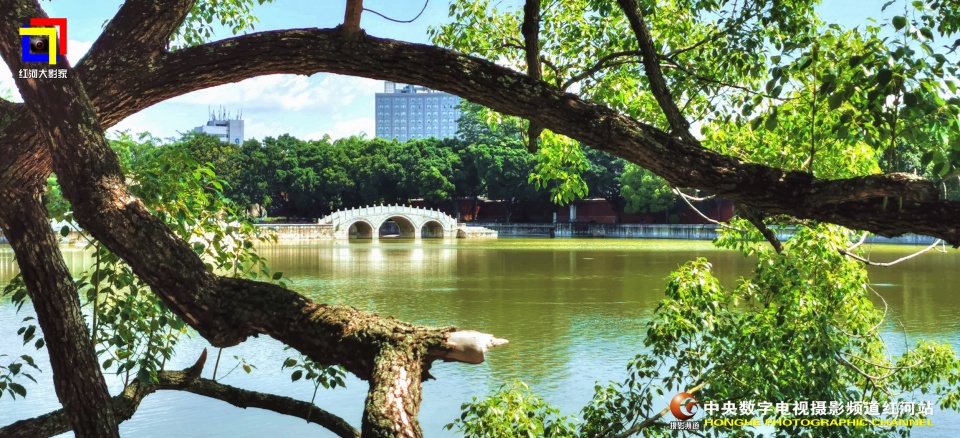 摄影助力民族医药企业的发展云河药业63周年盛典纪实•红河站