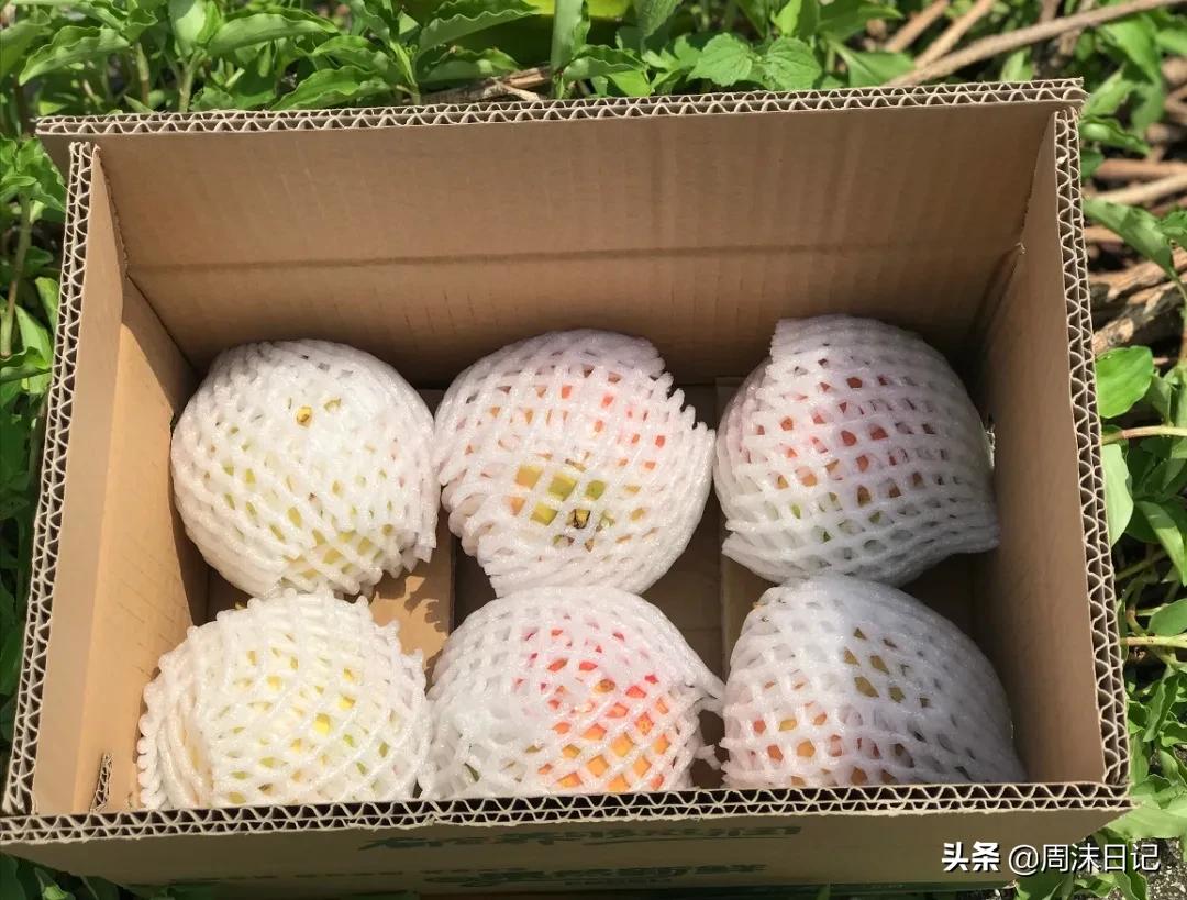 云南突尼斯软籽石榴爆汁不吐籽,甘甜爆汁突尼斯软籽石榴