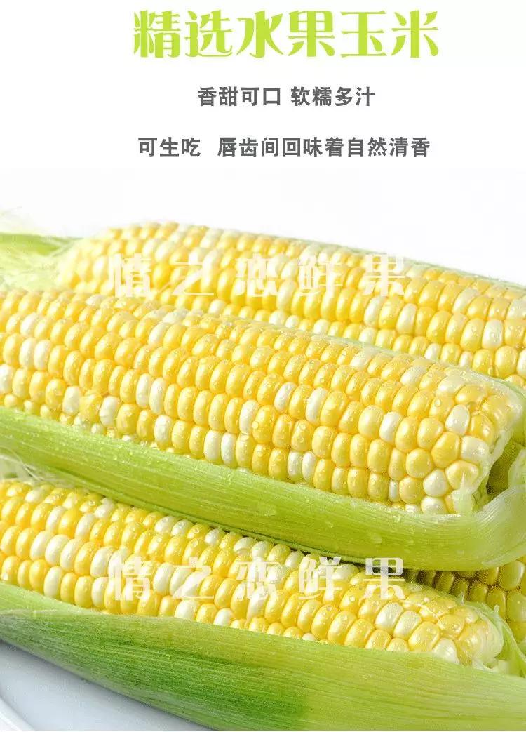 水果玉米生吃,可以生吃的爆浆水果玉米鲜甜脆嫩