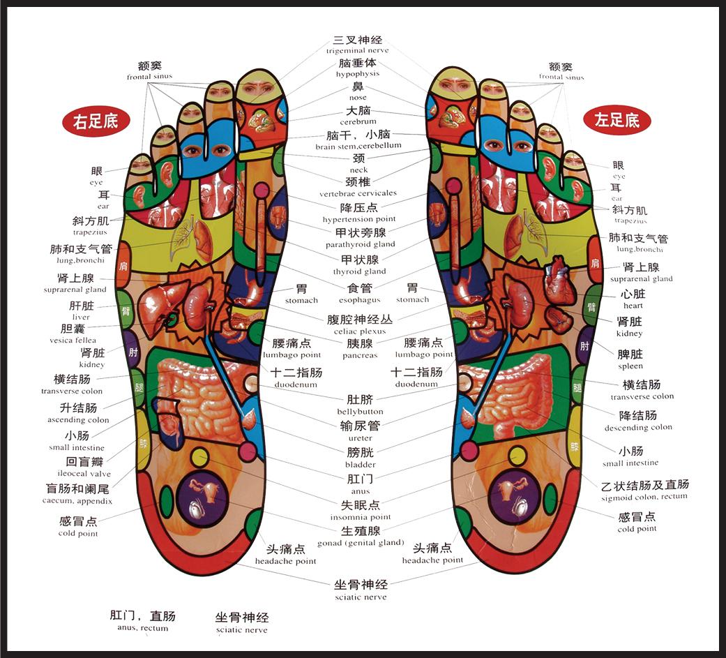 为什么脚一直感觉很累怎么调,被你忽视的每一秒是什么感觉