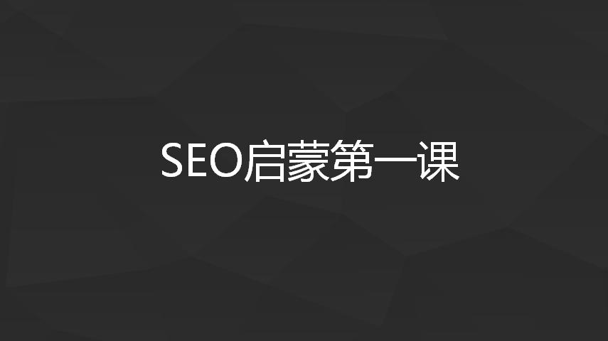 谷歌seo新手入门seo教程,seo优化基础知识新手必备seo顾问