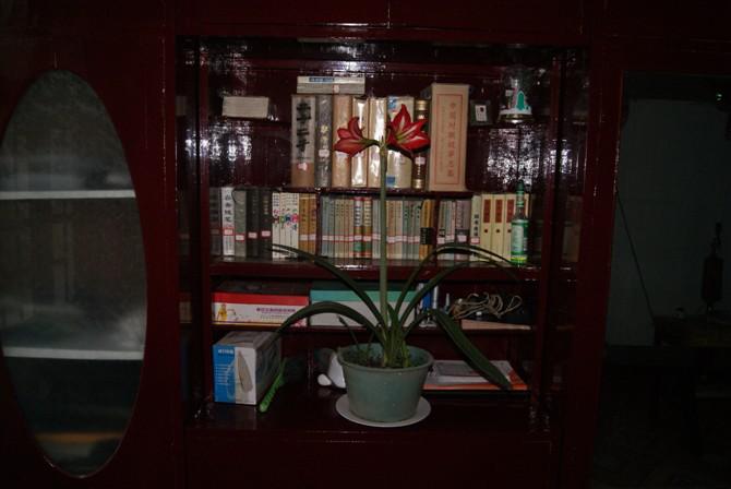 诗词故事动画,带诗词的故事