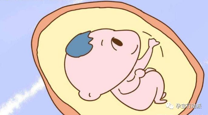 怀孕周刊,孕期周刊第93周