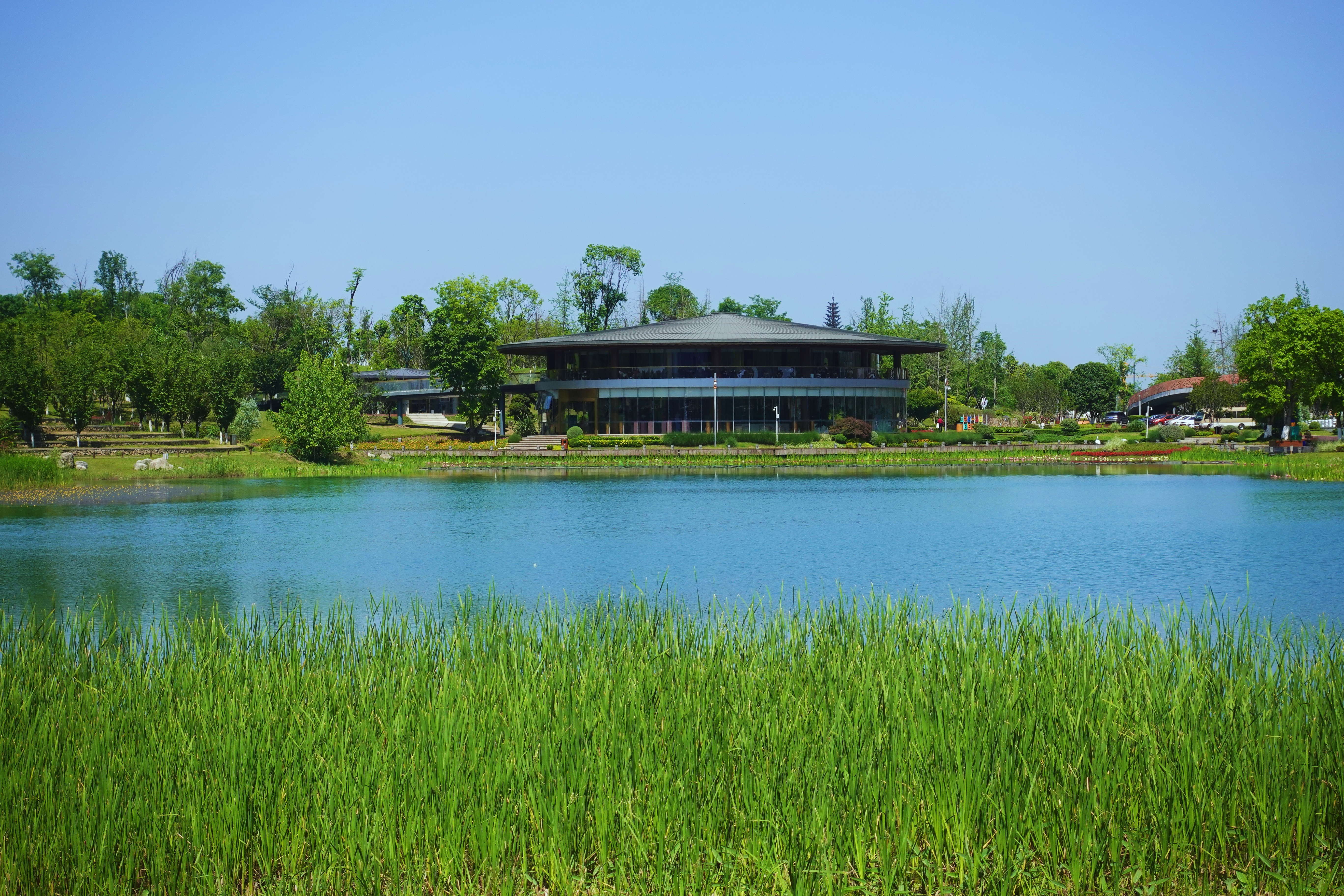 2021幸福感城市成都,2021最具幸福感城市成都