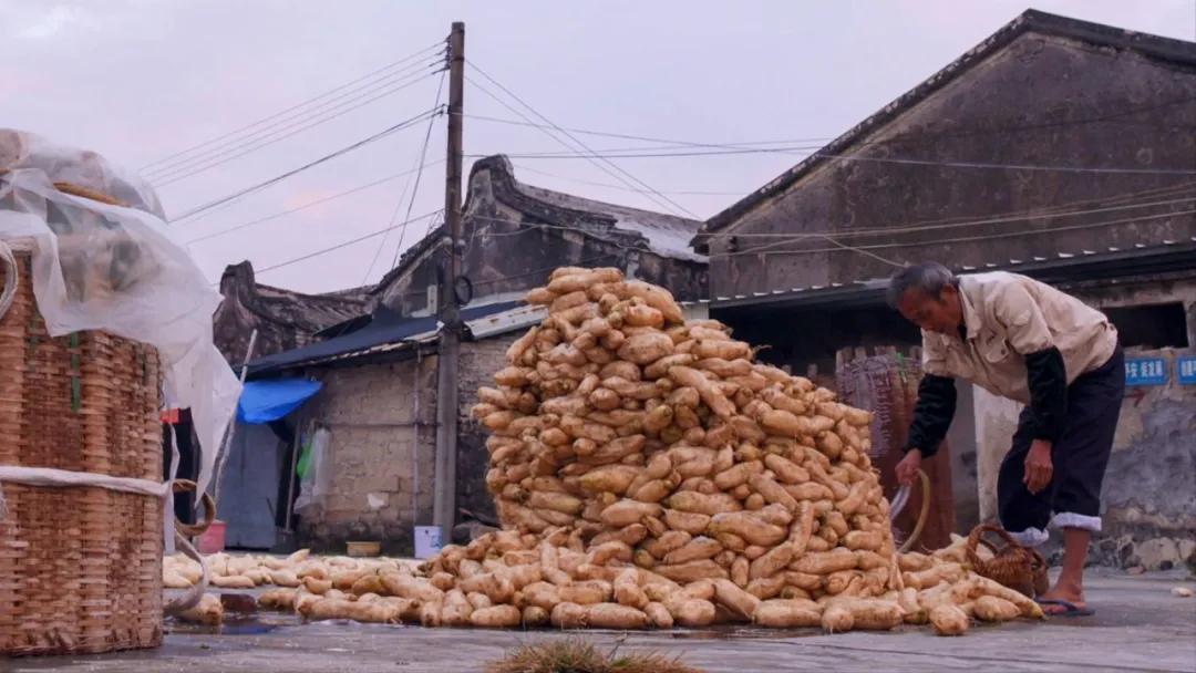 冬季萝卜最新吃法,冬季萝卜家常做法大全