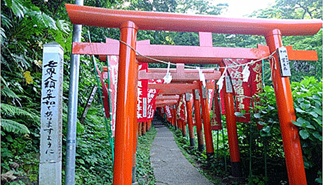 去日本镰仓旅游有好的攻略,日本镰仓的一日游线路