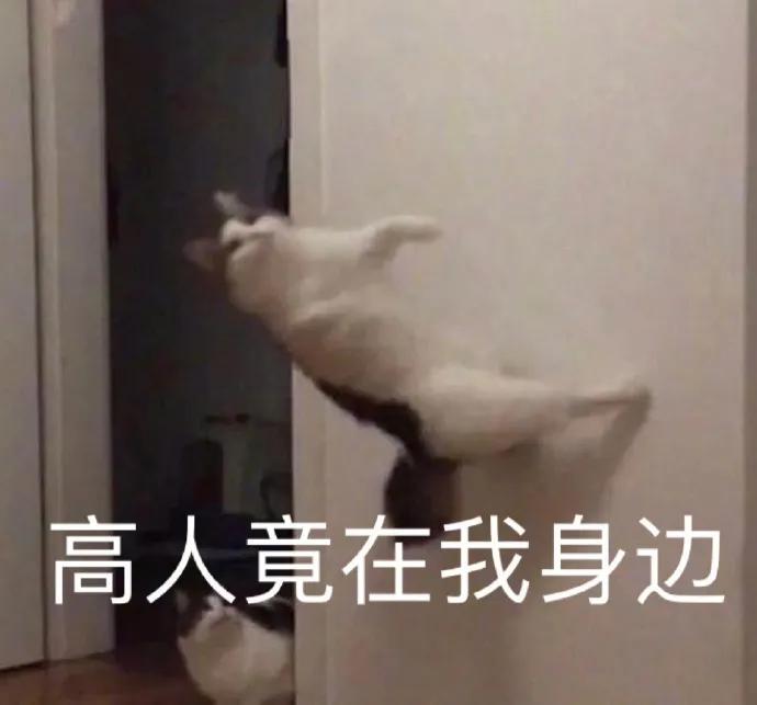 秋天的生命状态,秋天的运动套装