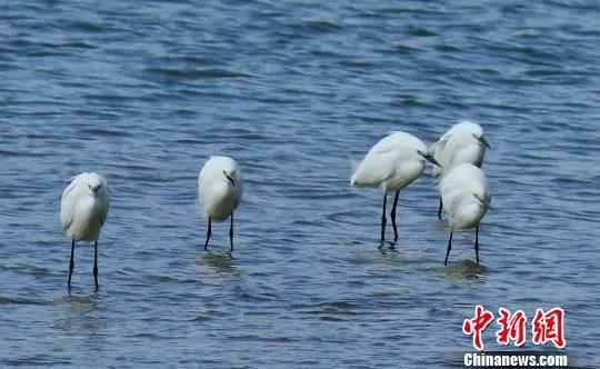 桂林水质在全国排第一,2023年广西水质排名前十名