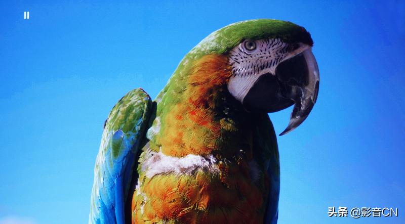 宏碁he-4k15优缺点,宏碁投影he-4k15