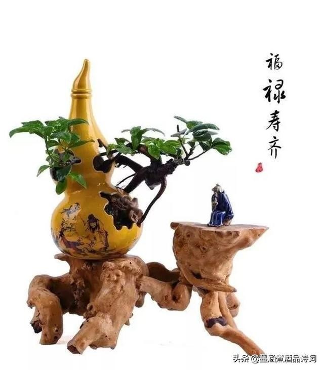 国学读本及名言名句55句,国学名言警句摘抄大全简短