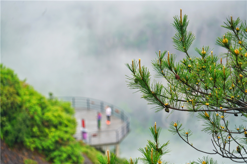 浙江有一个神奇山,浙江山里蝌蚪