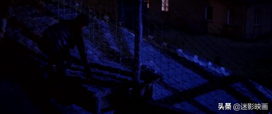 贝利史泰龙主演的电影,贝利和史泰龙合作的电影