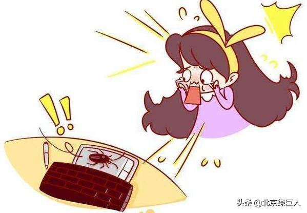 在房间的蟑螂如何快速解决,蟑螂躲缝里该怎么消灭它