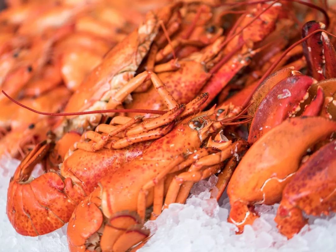 五星级酒店自助餐广州双人,五星级酒店海鲜自助餐广州