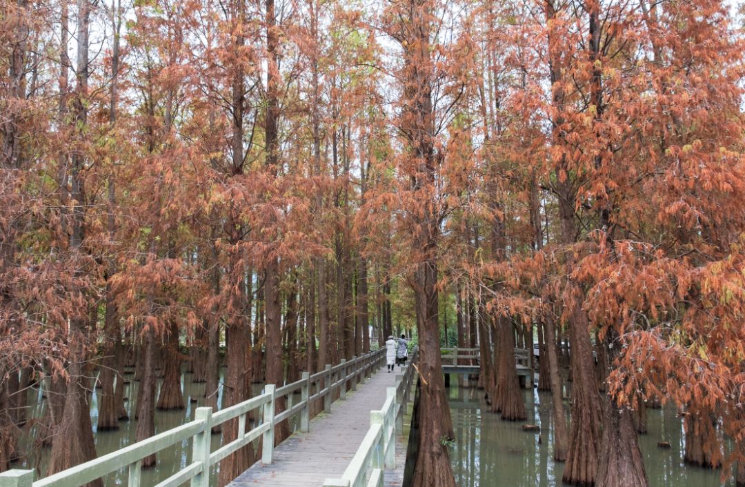 七星岩北门有什么景点,七星岩北门广场