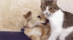 脚臭要去看哪个门诊,看脚臭的话是挂皮肤科吗