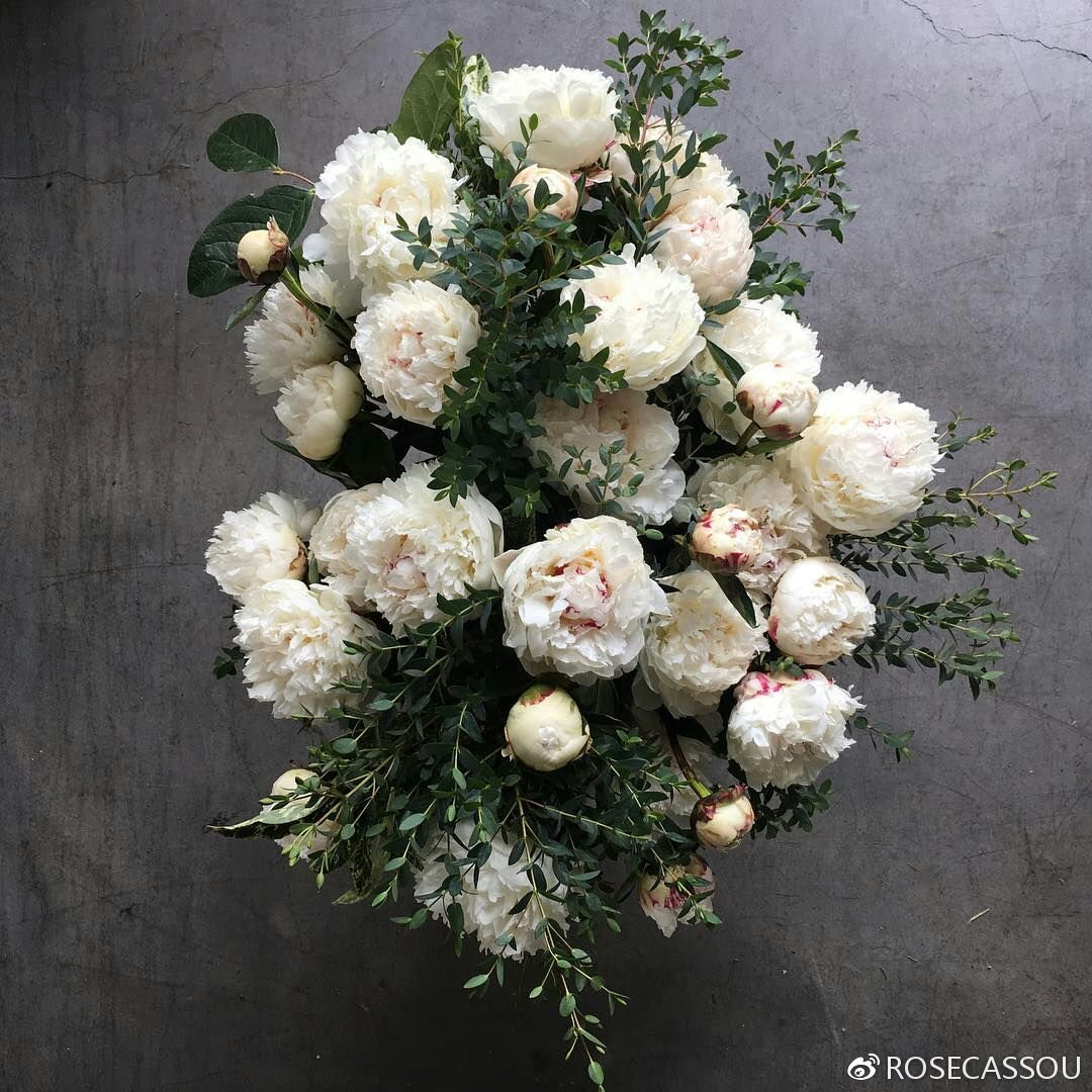 rosecassou花艺,rosecassou银莲花