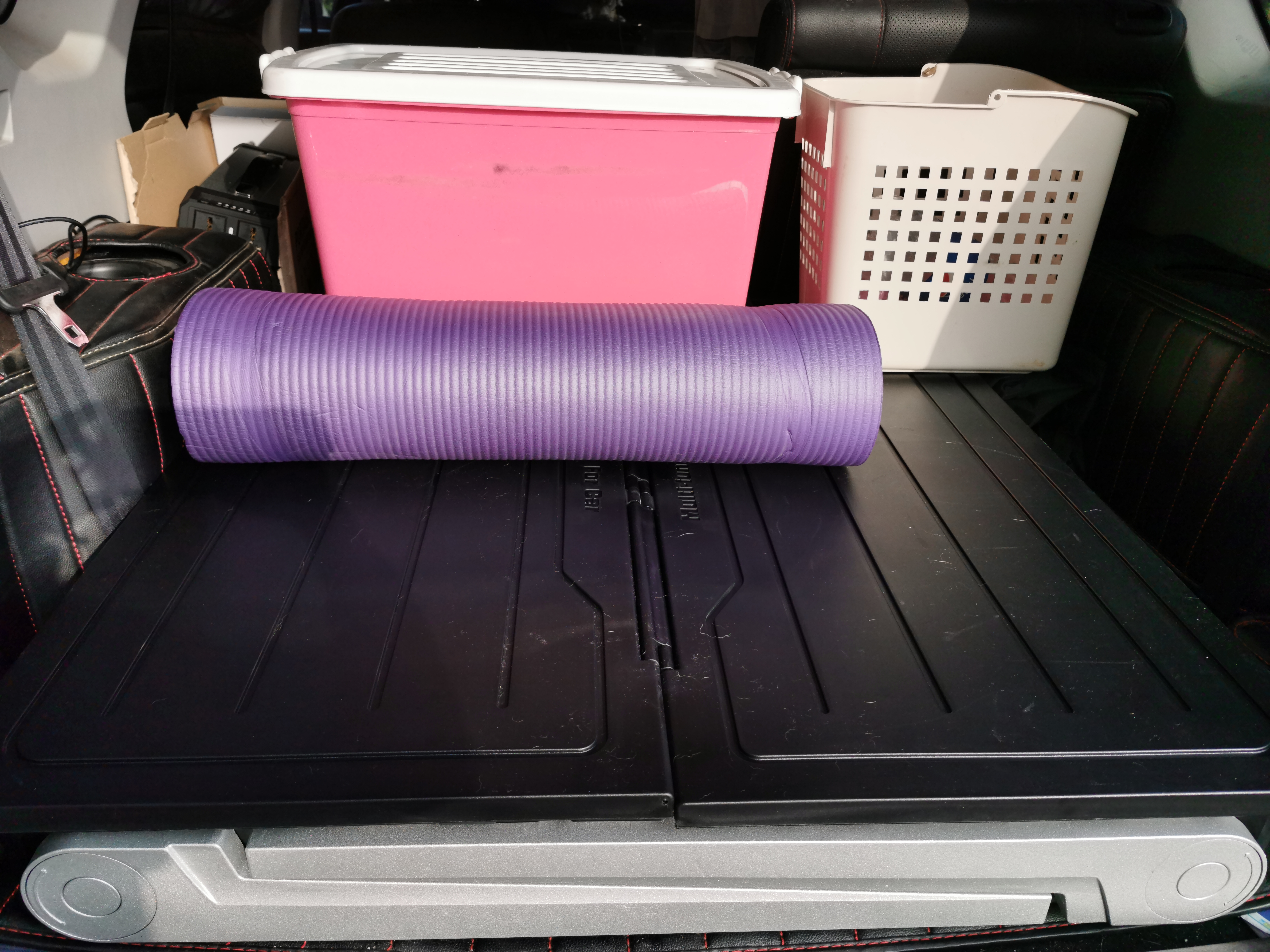 带狗爬山需要准备的装备大合集,准备带狗狗去旅行