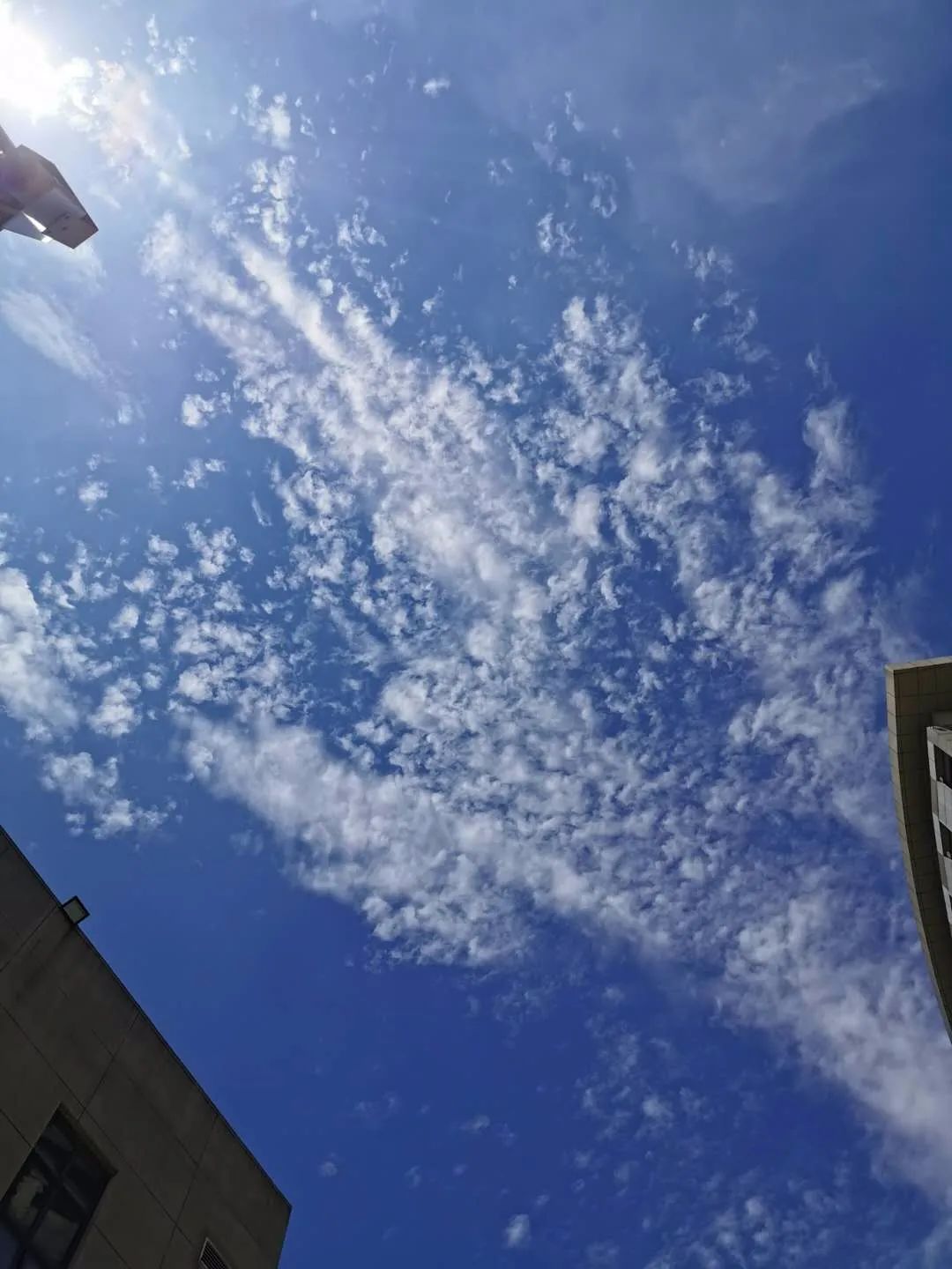 如何读书？读书一万不如一网