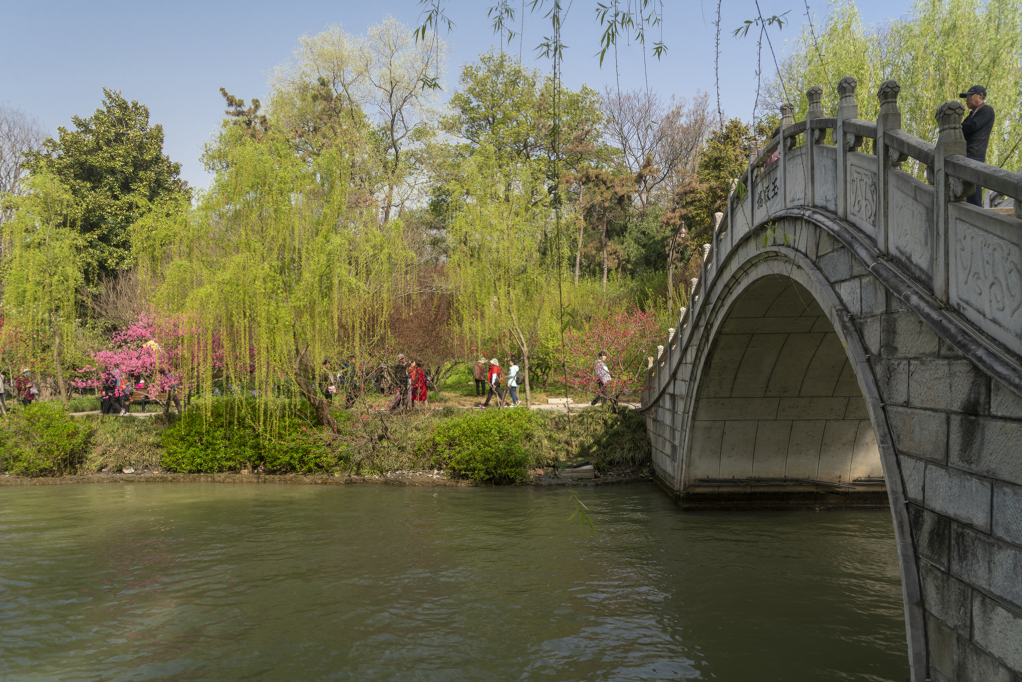 春风十里扬州路烟花三月瘦西湖,扬州三月瘦西湖