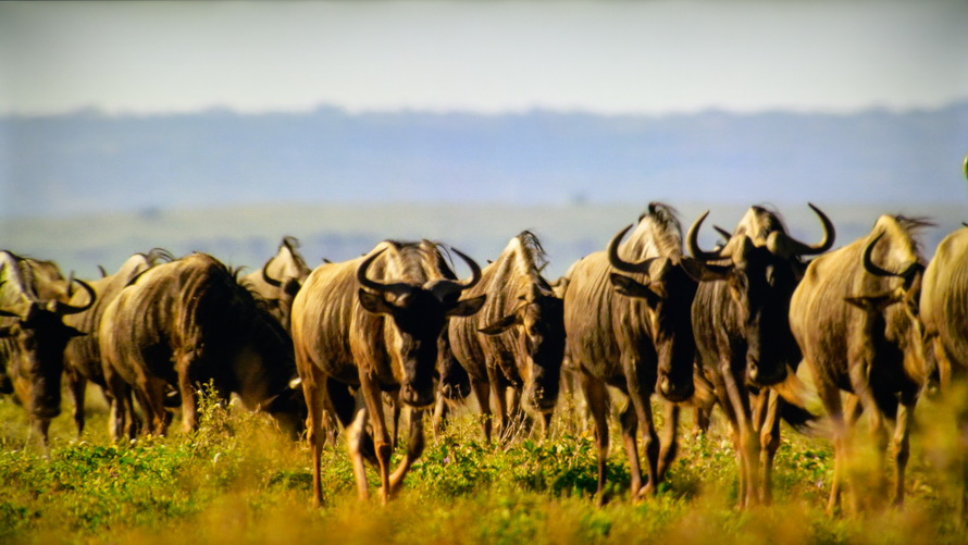 创维酷开p50遥控,创维酷开p50怎么外接音响