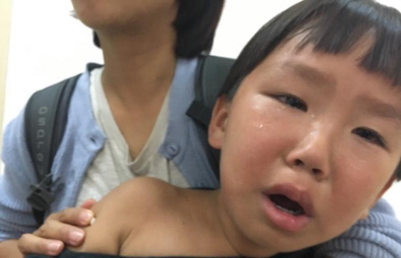 他叫辛巴,不是狮子王,8岁穿越12国:最好的教育,永远在路上