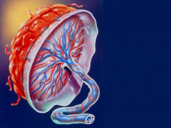 妇科内膜炎症状怎么治疗,妇科内膜炎