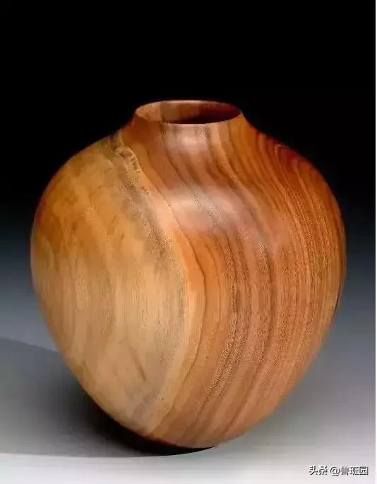 “高贵而奇异”,100多年方能成材的金*欢合**木是怎样一种存在?