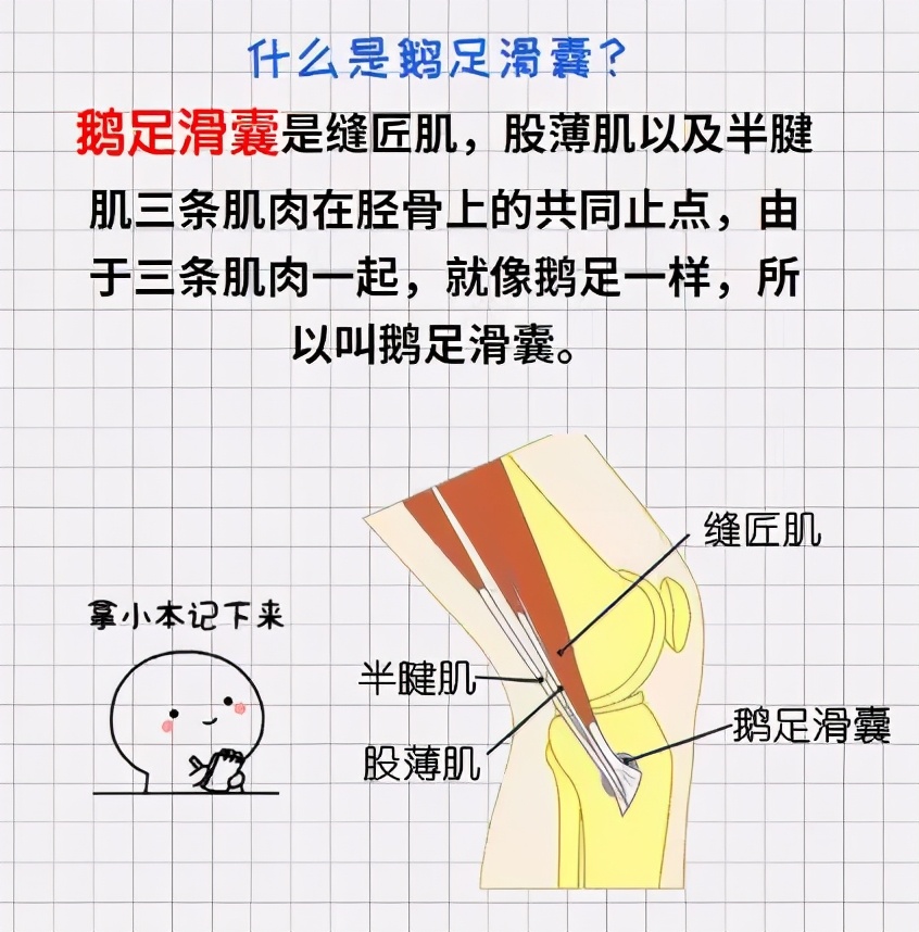 膝关节疼引起的跟腱炎,膝关节痛门诊主诉