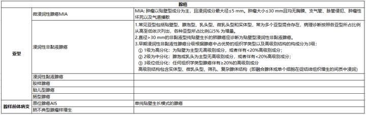 解读中华医学会肿瘤学分会肺癌临床诊疗指南（2021版）-病理学篇