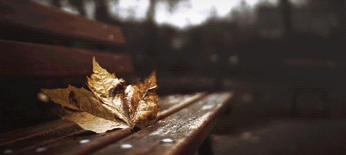 「云聚孝感十抓十促」精彩继续，魅力无边！这样的云梦、应城你们见过吗？