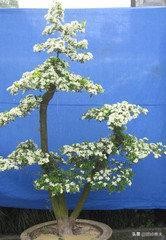 创业小项目获得资源,创业项目可以利用的资源