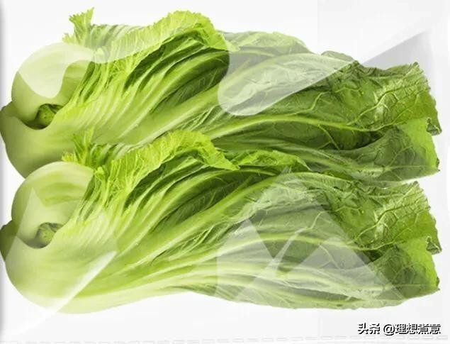 怎样才能吃到新鲜又营养的蔬菜?储存、清洗和烹调是有讲究的