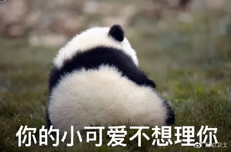 支原体感染治疗期间怀孕了怎么办,支原体感染在备孕中一定要治好吗