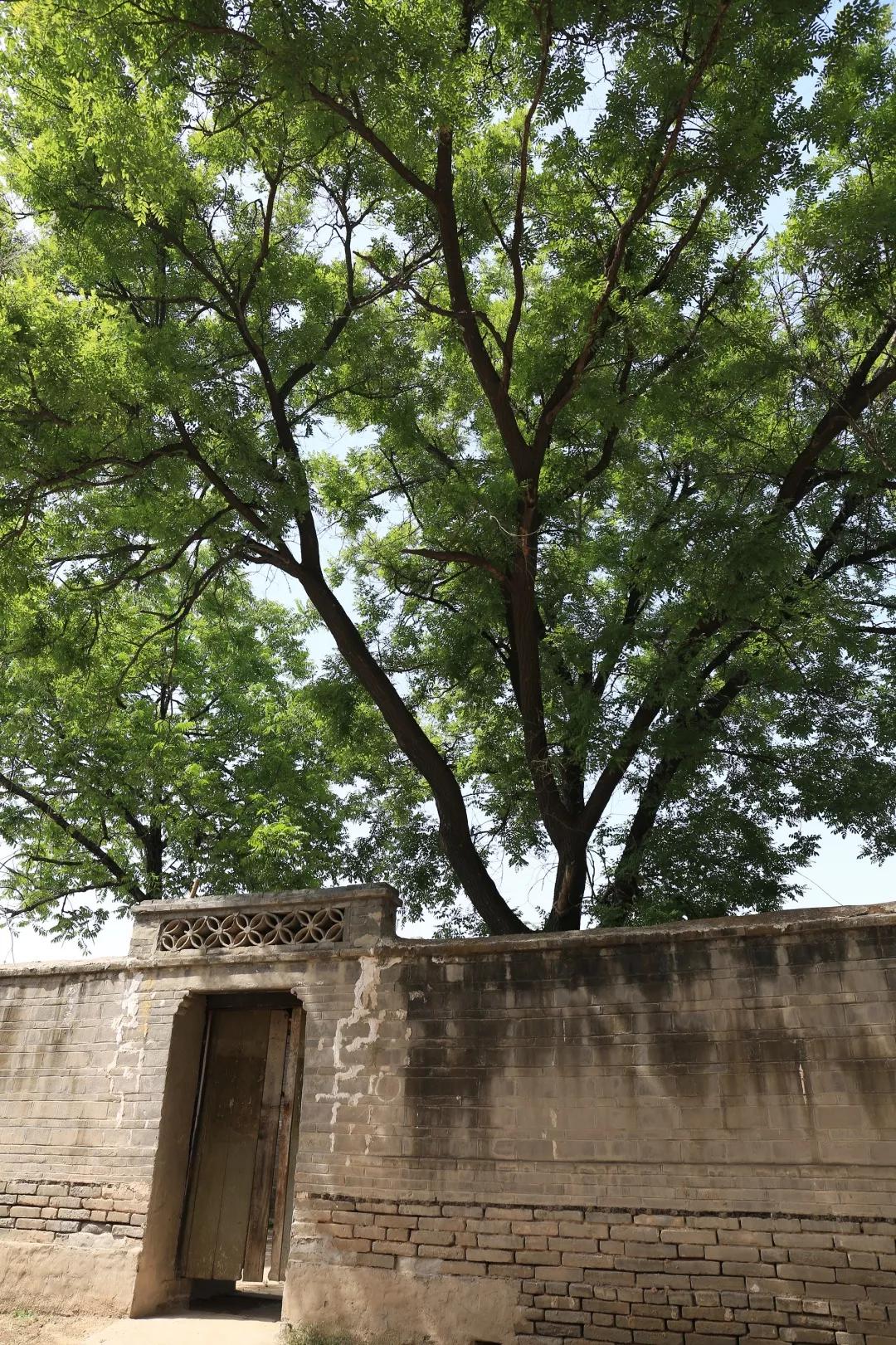 雄安新区王祥村规划,雄县朱各庄乡王祥小学