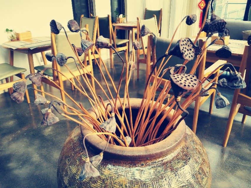 不是认怂而是一种涵养,学会认怂是对生活的一种态度