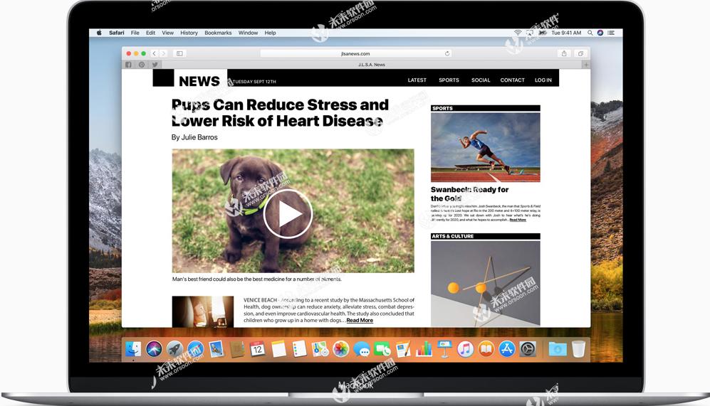safari浏览器支持windows系统吗,safari浏览器插件mac