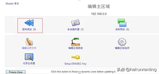 企业内网不搭建dns服务可以吗,局域网dns服务器架设