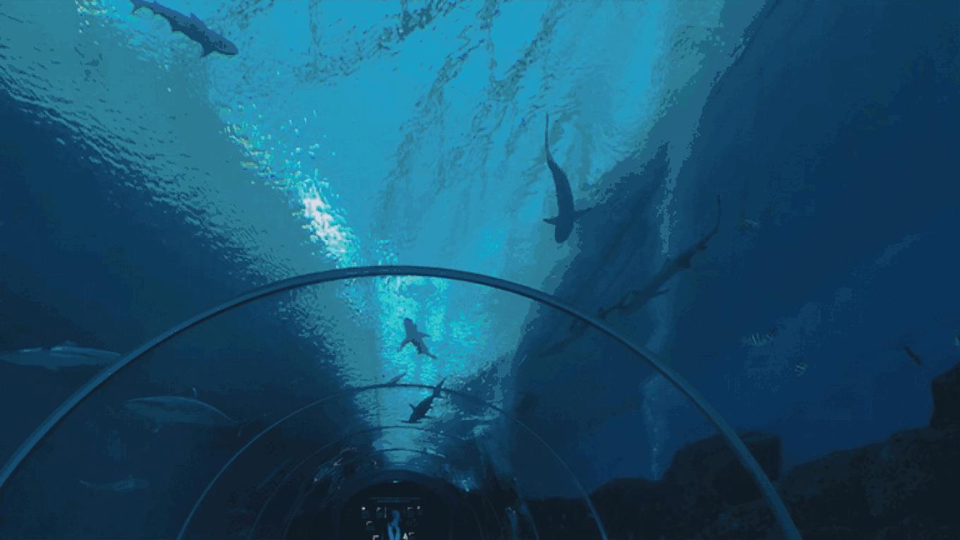 圣淘沙名胜世界攻略,请收下这份旅游攻略