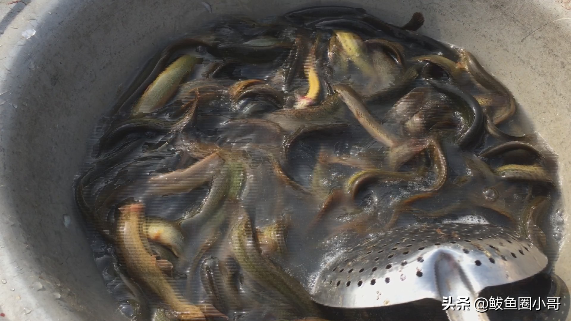 年前的红旗大集,红旗大集的历史