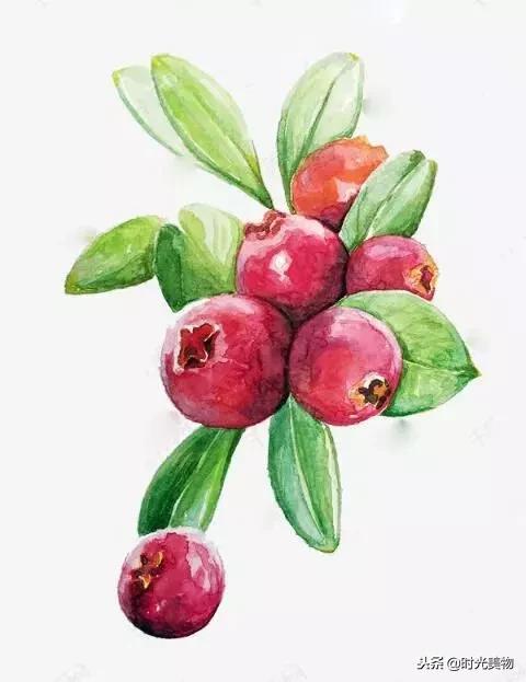 好嗨哦，这款专属定制的纯天然零食也能让人生达到巅峰