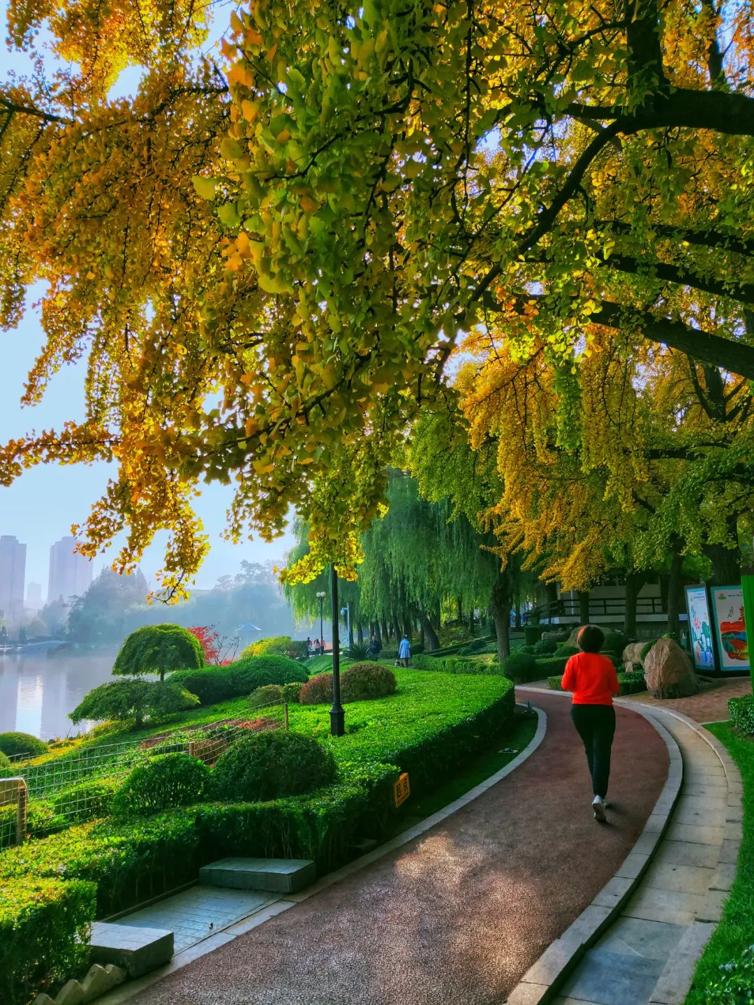 大连儿童公园，绿波荡漾的明泽湖，少了几分喧嚣，多了几分宁静