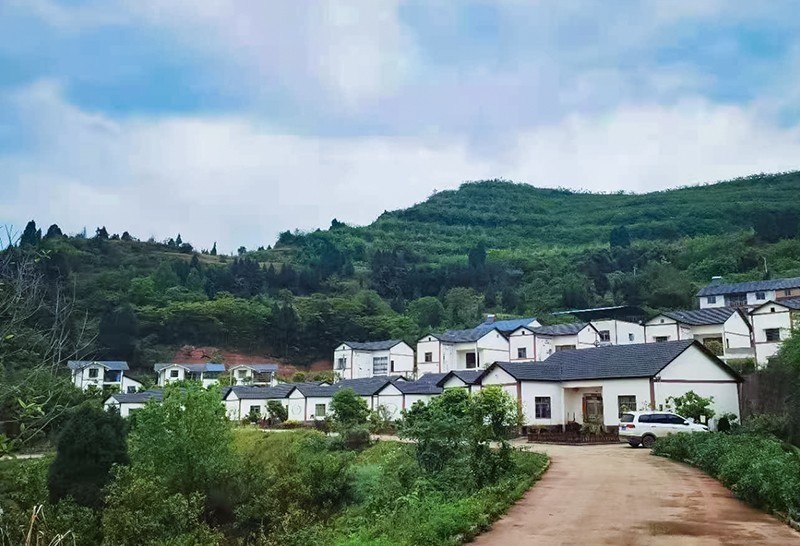 澶ч亾寮ュ潥鍑哄,澶ч亾寮ュ潥