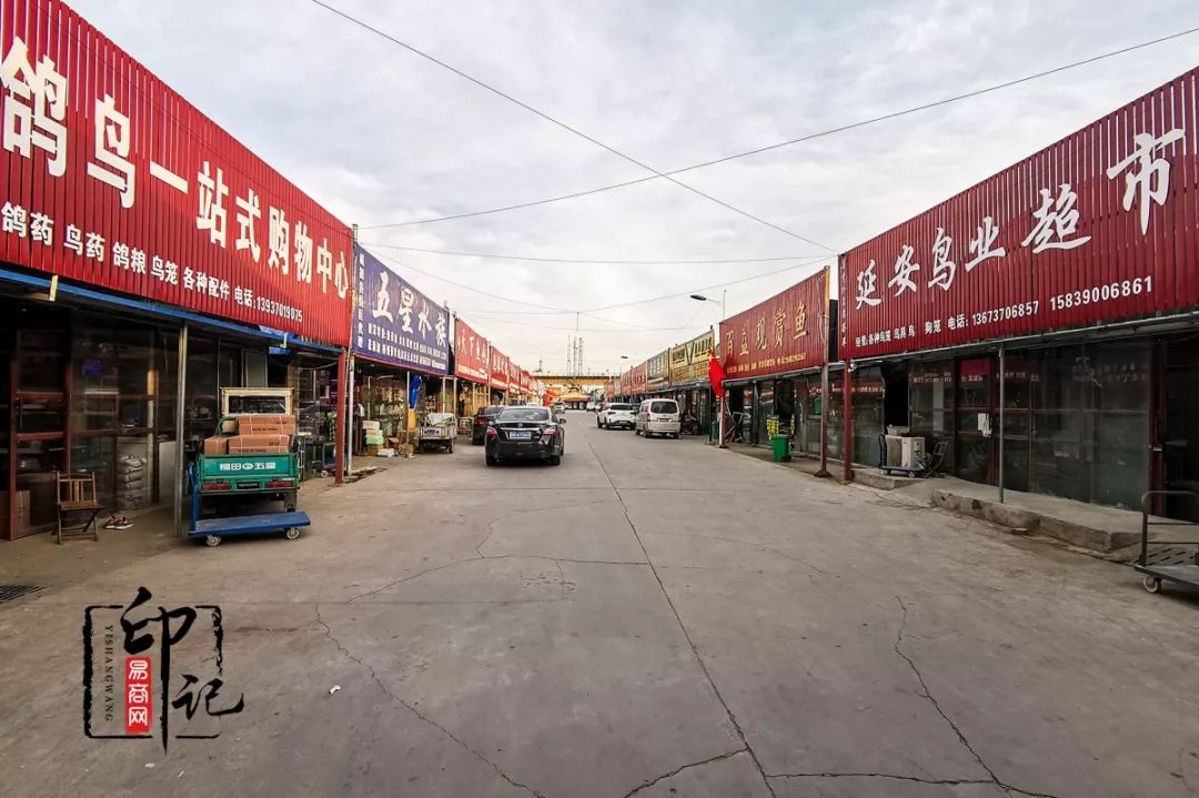 商丘花鸟批发基地,商丘花鸟市场地址