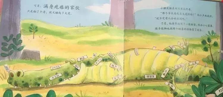 悦宝园主题课程推荐:鳄鱼|AlligatorsandCrocs